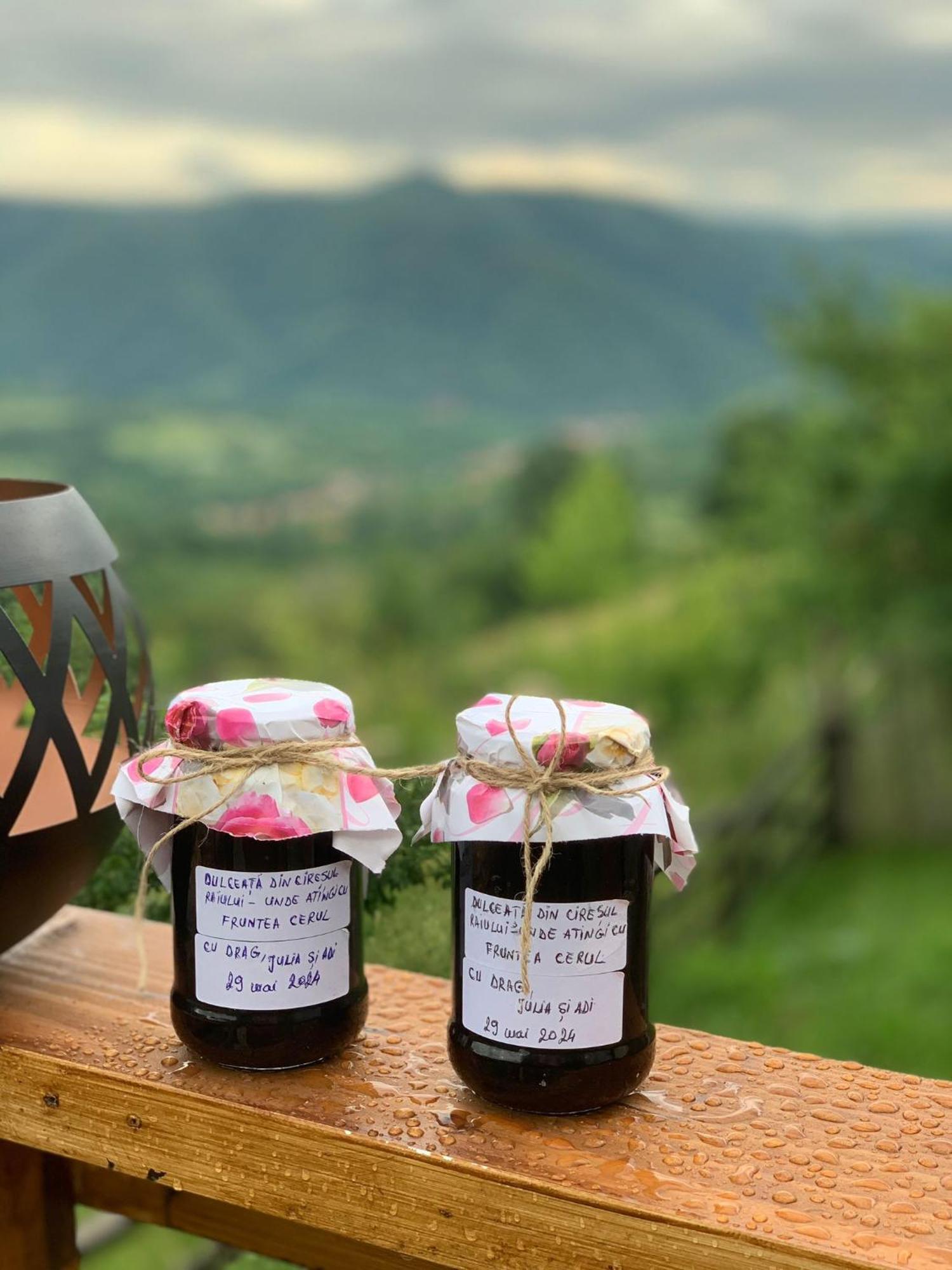 Lodge Conacul Fruntea Cu Ceru